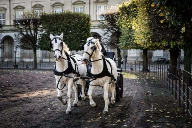 Jeu du carrosse mariage