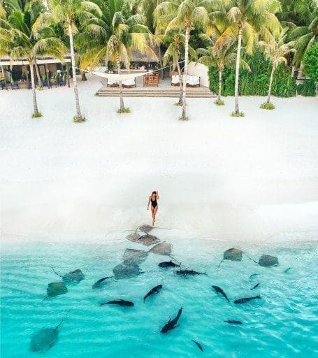 Voyage de noces aux Maldives : réveil tropical